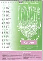 Kalendář 2010 Čmelíny – Víska