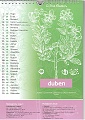 Kalendář 2010 Čmelíny – Víska